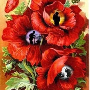 Meet your Posher, Patricia